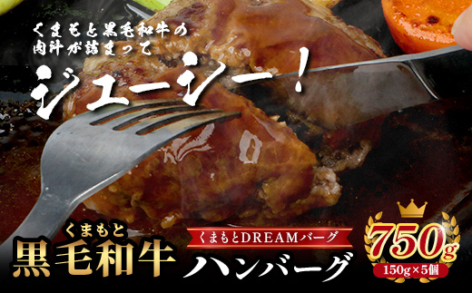 くまもと黒毛和牛 DREAMバーグ 150g×5パック 計750g 牛肉 100％ 国産 ハンバーグ 熊本 ブランド牛 黒毛 和牛 上質 はんばーぐ 惣菜 熊本県 113-0508