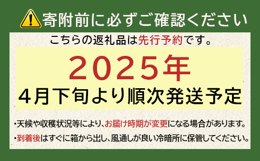 【先行予約】熊本県産 玉ねぎ 3kg (10玉前後) ≪2025年4月下旬から順次発送≫ 玉葱 野菜 数量限定 JAS たまねぎ オニオン 甘い ハンバーグ 肉じゃが 065-0635