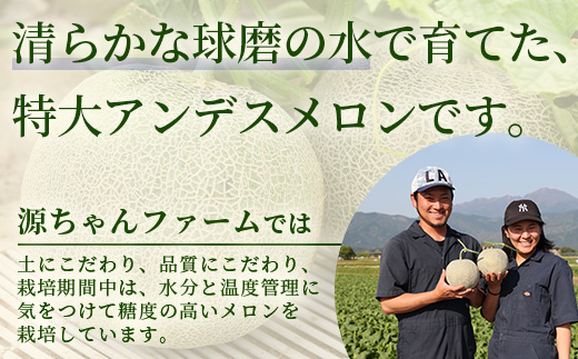 【2024年4月下旬より発送開始】 熊本県産 アンデスメロン 約3kg 2玉 メロン