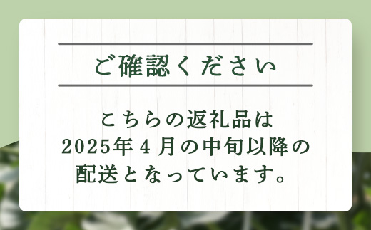 【 2025年4月中旬～発送開始 】 先行予約 グラバーメロン 3玉 【 熊本県 多良木町産 上品な味 高糖度 甘い メロン ぐらばー めろん 熊本メロン 】 013-0557