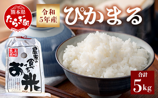 令和5年産 ぴかまる 5kg 【 令和5年産新米 美味しいお米 甘みのあるお