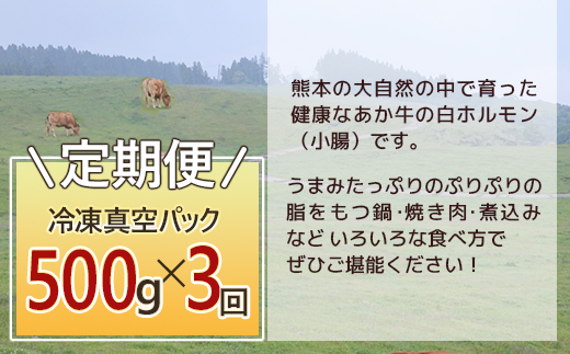 【定期便3回】熊本あか牛 白ホルモン 計1.5Kg (250g×2)×3回 冷凍真空パック【 熊本 熊本県産 あか牛 冷凍 真空 もつ鍋 ホルモン 焼き肉 】 041-0139