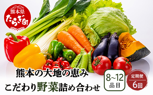 【定期便6回】熊本の大地の恵み 旬の こだわり野菜詰め合わせセット 8〜12品 （3〜4名様向け）6回配送 獲れたて 新鮮 野菜 セット 詰め合わせ 詰合せ 定期便 産地 直送 国産 季節 旬野菜 家族 ファミリー 多良木町 024-0811