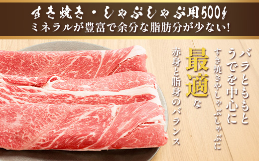 くまもとあか牛食べ尽くしセット 《 ハンバーグ・切り落とし・すき焼きしゃぶしゃぶ用・カルビ焼肉用・肩ロースすき焼きしゃぶしゃぶ用・肩ロース焼肉用・ロースステーキ・ロースしゃぶしゃぶ 》計4.15kg 105-0514