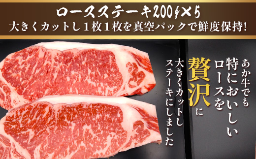 くまもとあか牛食べ尽くしセット 《 ハンバーグ・切り落とし・すき焼きしゃぶしゃぶ用・カルビ焼肉用・肩ロースすき焼きしゃぶしゃぶ用・肩ロース焼肉用・ロースステーキ・ロースしゃぶしゃぶ 》計4.15kg 105-0514