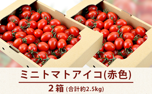 【産地直送】熊本県産 ミニトマト「アイコ (赤色)」約2.5kg 国産トマト アイコ とまと 甘い 熊本 多良木町 農園直送 新鮮 フルーツトマト フルーティ 020-0531