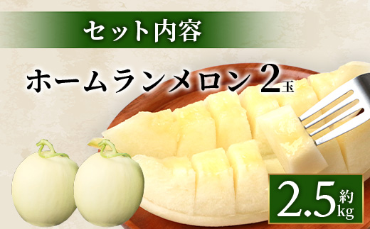 【2025年4月中旬発送開始】【先行予約】熊本県産 ホームランメロン 2玉 約2.5kg以上【 ご予約 メロン フルーツ 果物 熊本 多良木 】083-0699