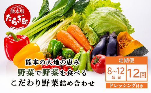 【定期便12回】熊本の大地の恵み≪ 野菜で野菜を食べる ≫ 旬のこだわり 野菜 ＆ドレッシング セット (3〜4名様向け) 野菜 獲れたて 8～12品 直送 旬 新鮮 定期便 野菜ドレッシング 詰め合わせ 詰合せ 熊本県 多良木町 024-0816