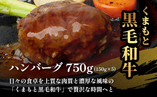 くまもと黒毛和牛 DREAMバーグ 150g×5パック 計750g 牛肉 100％ 国産 ハンバーグ 熊本 ブランド牛 黒毛 和牛 上質 はんばーぐ 惣菜 熊本県 113-0508