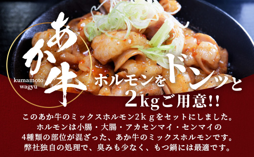 熊本県産 あか牛 ミックス ホルモン 2kg（500g×4パック） ホルモン 大容量 小分け冷凍 もつ鍋 焼肉 焼き BBQ 和牛 国産 牛肉 熊本県 あか牛 046-0653