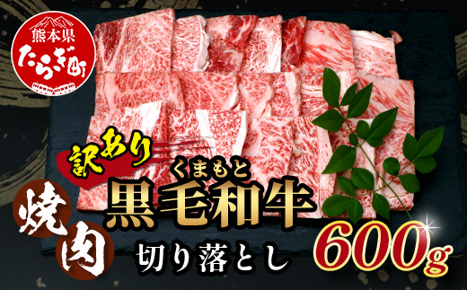 【訳あり】くまもと 黒毛和牛 焼肉 切り落とし 【600g】  本場 熊本県 黒毛 和牛 ブランド 牛 肉 焼き肉 やきにく 上質 くまもと 訳アリ 113-0504