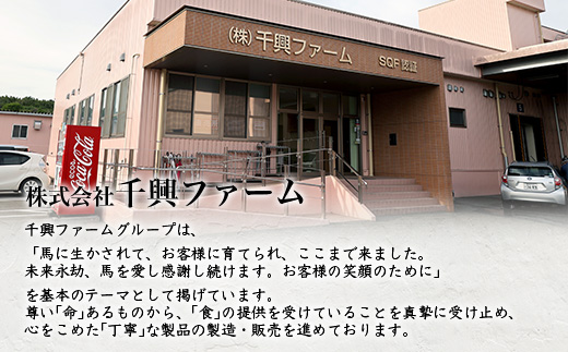 馬スジ 2kg ボイル済 馬肉 【 馬 スジ すじ 馬肉 ボイル 馬刺し すじ肉 馬すじ 加熱済 真空パック 真空 小分け 熊本県 熊本 多良木町 多良木 】