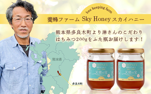 【垂れ蜜】日本みつばち 蜂蜜「天使の宝」2個 セット 希少 ニホンミツバチ 100％ はちみつ 高純度 高濃度 自然落下 無添加 ハチミツ 蜂蜜 ハニー ハチミツ 094-0003
