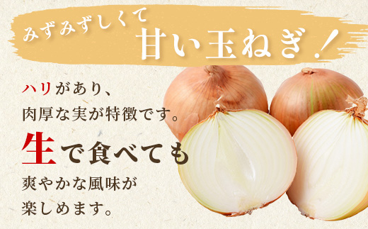 【先行予約】熊本県産 玉ねぎ 10kg (33玉前後) ≪2025年4月下旬から順次発送≫ 玉葱 野菜 数量限定 JAS たまねぎ オニオン 甘い ハンバーグ 肉じゃが 065-0637 大森 重臣