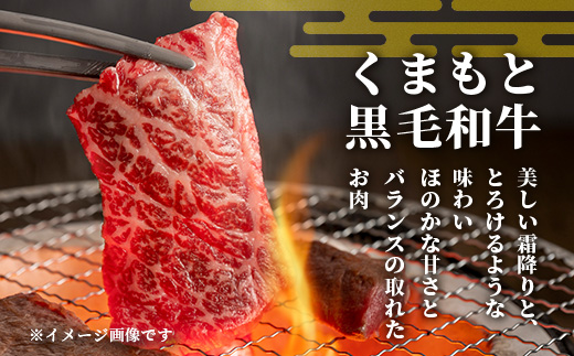 【訳あり】くまもと 黒毛和牛 焼肉 切り落とし 【600g】  本場 熊本県 黒毛 和牛 ブランド 牛 肉 焼き肉 やきにく 上質 くまもと 訳アリ 113-0504