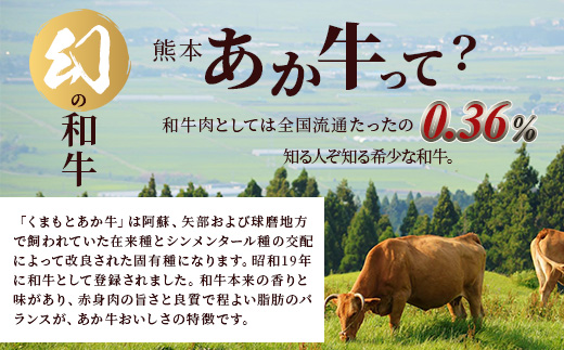 熊本あか牛 切り落とし 500g  国産 ブランド牛 肉 冷凍 熊本 熊本県産 あか牛 赤牛 切り落とし 牛肉 041-0143