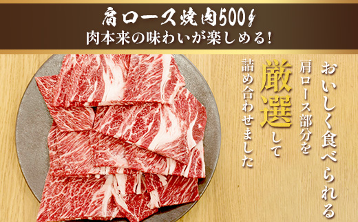 くまもとあか牛食べ尽くしセット 《 ハンバーグ・切り落とし・すき焼きしゃぶしゃぶ用・カルビ焼肉用・肩ロースすき焼きしゃぶしゃぶ用・肩ロース焼肉用・ロースステーキ・ロースしゃぶしゃぶ 》計4.15kg 105-0514