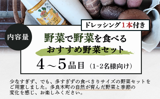 野菜ソムリエ 監修【 野菜で野菜を食べる 】旬の おすすめ 野菜＆ドレッシング セット (1〜2名様向け) 野菜 獲れたて 直送 旬 新鮮 セット 詰め合わせ 詰合せ 熊本県 多良木町 ドレッシング 024-0805