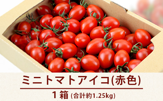 【産地直送】熊本県産 ミニトマト「アイコ (赤色)」約1.25kg 国産トマト アイコ とまと 甘い 熊本 多良木町 農園直送 新鮮 フルーツトマト フルーティ 020-0532