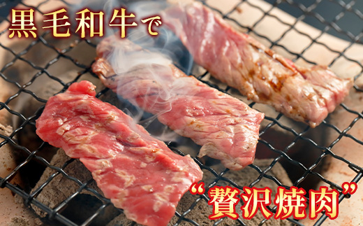 【定期便5回】くまもと黒毛和牛 焼肉用 500g ×5回配送 ブランド 黒毛和牛 焼肉 焼き肉 やきにく 肉 牛肉 多良木町 国産 和牛 030-0704