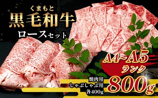 A4・A5 くまもと黒毛和牛 ロース セット 計 800g ( すき焼き / 焼肉 各400g ) 本場 熊本県 ブランド 牛 黒毛 和牛 厳選 A4以上 肉 上質 熊本県 113-0507