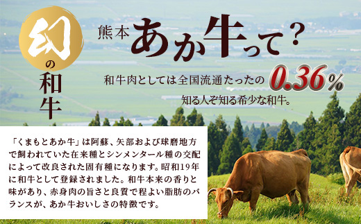 熊本あか牛 焼肉用カット ( バラ ・ ロース ) 500g【 国産 牛肉 冷凍 熊本 熊本県産 あか牛 赤牛 切り落とし】 041-0146