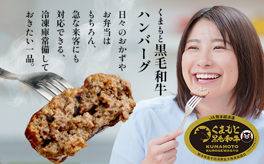 くまもと黒毛和牛 DREAMバーグ 150g×5パック 計750g 牛肉 100％ 国産 ハンバーグ 熊本 ブランド牛 黒毛 和牛 上質 はんばーぐ 惣菜 熊本県 113-0508