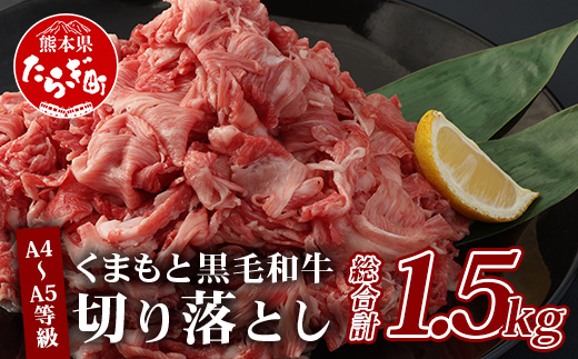 A4〜A5等級 くまもと黒毛和牛 切り落とし 合計約1.5kg（300g×5パック）国産 牛肉 小分け 熊本県産 085-0654