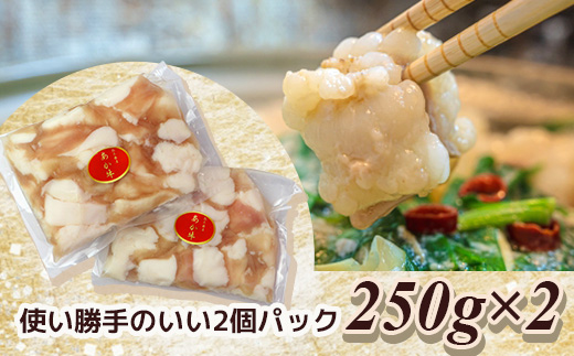 【定期便3回】熊本あか牛 白ホルモン 計1.5Kg (250g×2)×3回 冷凍真空パック【 熊本 熊本県産 あか牛 冷凍 真空 もつ鍋 ホルモン 焼き肉 】 041-0139