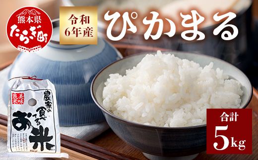 令和6年産 新米 多良木町産 ぴかまる 5kg 【 10月より順次発送 新米 農家が食べるお米 甘み お米 美味しい米 米 白米 精米 熊本 】 065-0632-a