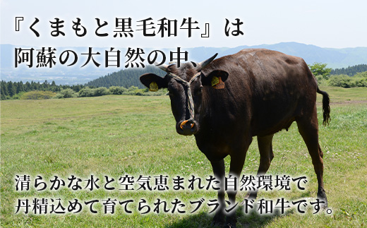 【A4〜 A5等級】くまもと黒毛和牛モモステーキ 約500g ( 100ｇ×5P ) ≪ ブランド 牛肉 肉 赤身 モモ ステーキ 500g 大容量 小分け ご馳走 和牛 国産 熊本県 上級 上質 ≫