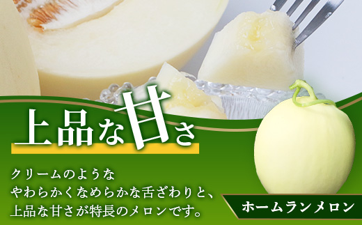 【2025年4月中旬発送開始】熊本県産 ホームランメロン アンデスメロン 食べ比べ 計5玉 約5kg【 先行 御予約 予約 ご予約 熊本 くまもと メロン フルーツ 果物  】083-0624