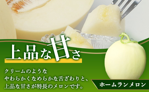 【2025年4月中旬発送開始】【先行予約】熊本県産 ホームランメロン 2玉 約2.5kg以上【 ご予約 メロン フルーツ 果物 熊本 多良木 】083-0699
