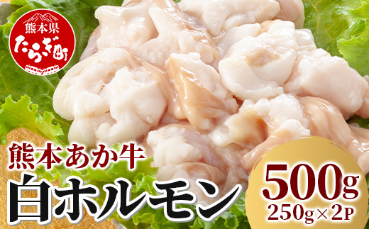 熊本あか牛 白ホルモン 計500g（250g×2パック）冷凍真空パック 【 熊本 熊本県産 あか牛 冷凍 真空 もつ鍋 ホルモン 焼き肉 】 041-0135