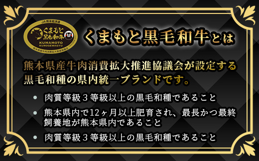 【A4〜 A5等級】くまもと黒毛和牛モモステーキ 約500g ( 100ｇ×5P ) ≪ ブランド 牛肉 肉 赤身 モモ ステーキ 500g 大容量 小分け ご馳走 和牛 国産 熊本県 上級 上質 ≫