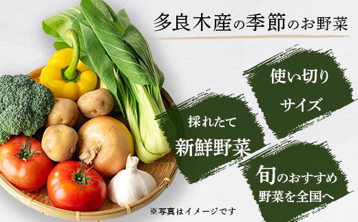 【定期便6回】熊本の大地の恵み 旬の こだわり野菜詰め合わせセット 8〜12品 （3〜4名様向け）6回配送 獲れたて 新鮮 野菜 セット 詰め合わせ 詰合せ 定期便 産地 直送 国産 季節 旬野菜 家族 ファミリー 多良木町 024-0811