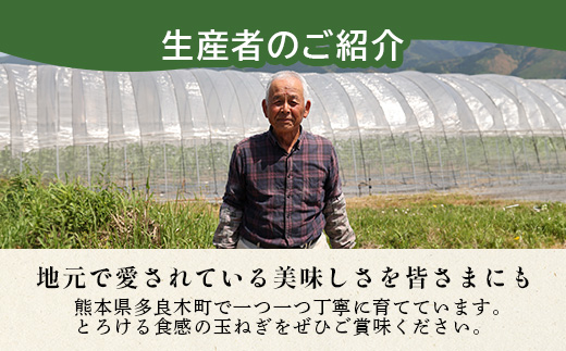 【先行予約】熊本県産 玉ねぎ 10kg (33玉前後) ≪2025年4月下旬から順次発送≫ 玉葱 野菜 数量限定 JAS たまねぎ オニオン 甘い ハンバーグ 肉じゃが 065-0637 大森 重臣