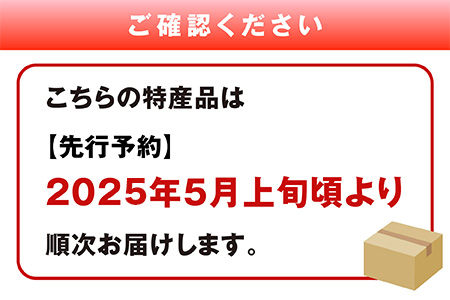 【2025年5月上旬～発送 先行予約】小玉スイカ ひとりじめ (2玉) 令和7年 夏 スイカ 食べきりサイズ 西瓜 フルーツ 果物 旬の味覚 すいか 甘い 産地直送 008-0663