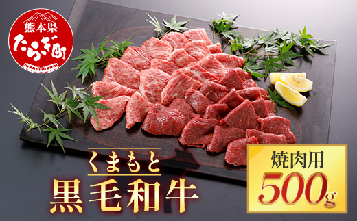 【くまもと黒毛和牛】焼肉用 500g  ブランド牛 黒毛和牛 焼肉 焼き肉スライス やきにく 肉 牛肉 多良木町 国産 和牛 030-0702