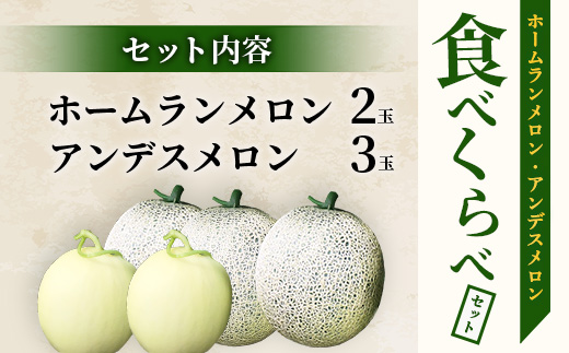 【2025年4月中旬発送開始】熊本県産 ホームランメロン アンデスメロン 食べ比べ 計5玉 約5kg【 先行 御予約 予約 ご予約 熊本 くまもと メロン フルーツ 果物  】083-0624