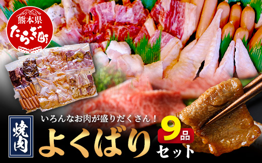 【数量限定】 村上精肉店の 焼肉 よくばりセット 【 9品 味付き 焼くだけ 】 牛カルビ ハラミ 豚バラ タン トントロ 鶏せせり 鶏もも 手羽先 ウインナー 焼き肉 BBQ アウトドア キャンプ 021-0667