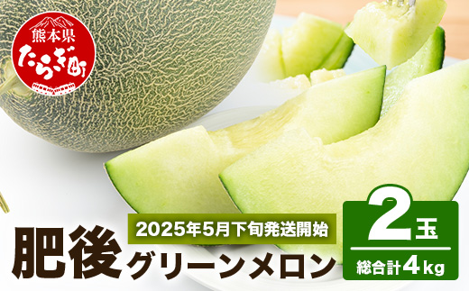 【2025年5月下旬～順次発送予定】先行予約 熊本県産 肥後 グリーンメロン 【大玉】 2玉／合計4kg以上【 ご予約 予約 令和7年 メロン 果物 フルーツ 旬 甘い デザート くだもの 大玉 4kg 熊本 多良木 産地直送 】 008-0662