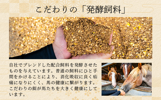 熊本特産 馬刺し 食べ比べ 堪能セット 合計310g 【 上赤身 ・ ユッケ ・ ネギトロ ・ 赤身 】ソムリエ セレクト 本場 熊本県 馬刺し 馬肉 肉 食べ比べ ヘルシー 赤身 くまもと 104-0005