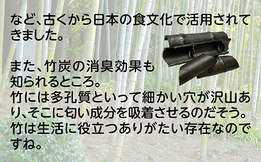 竹製 お部屋の照明 手づくりキット 多良木町夢工房 【 手作り ライト あかり 照明 癒し 親子で 夏休み 工作 オリジナル 】  002-0536