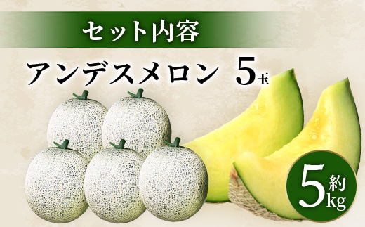 【2025年4月中旬発送開始】【先行予約】熊本県産 アンデスメロン 5玉 約5kg 【 メロン フルーツ 果物 ご予約 くだもの 熊本 多良木 】083-0696