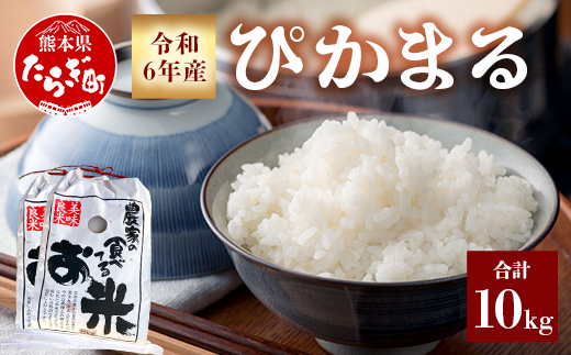 令和6年産 新米 多良木町産 ぴかまる 10kg （5kg×2袋）【 10月より順次発送 新米 農家が食べる お米 米 白米 精米 お米 甘みのある お米 有機 お米 】 065-0633-a