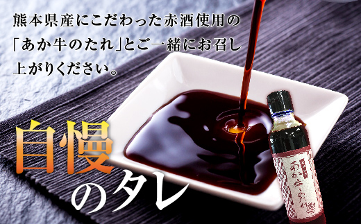 あか牛 極上ヒレ ステーキ セット 計300g ＜ヒレ150g×2枚、あか牛のたれ200ml＞ あか牛 牛肉 肉 熊本県産 多良木町 ご馳走 お祝い お取り寄せ グルメ 046-0167