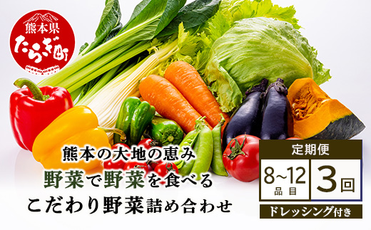 【定期便3回】熊本の大地の恵み≪ 野菜で野菜を食べる ≫ 旬のこだわり 野菜 ＆ドレッシング セット (3〜4名様向け) 野菜 獲れたて 8～12品 直送 旬 新鮮 定期便 野菜ドレッシング 詰め合わせ 詰合せ 熊本県 多良木町 024-0814