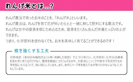 【令和6年産】化学肥料・農薬不使用！こだわり農法の「れんげ米」【玄米】（10kg）