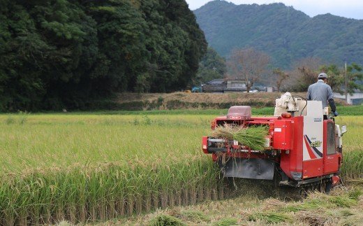 【令和６年産】化学肥料・農薬不使用！こだわり農法の「れんげ米」（2kg）